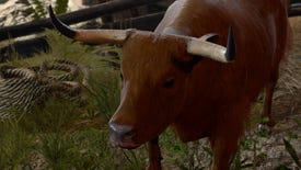 Baldur's Gate 3 image showing a close-up of a cow.